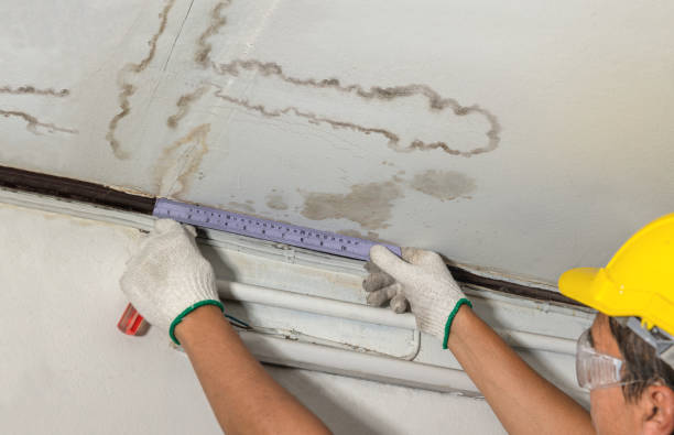 24/7 Emergency Burst Pipe Cleanup experts in Potterville, MI