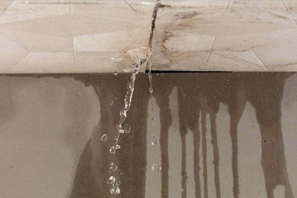 Professional Burst Pipe Cleanup technician working in Potterville, MI